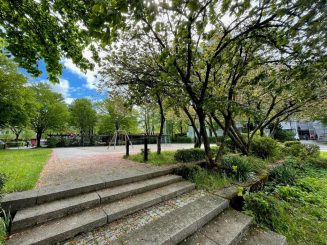 Gemütliche 1-Zimmer-Wohnung mit sonnigem Süd-Terrasse und Garten
